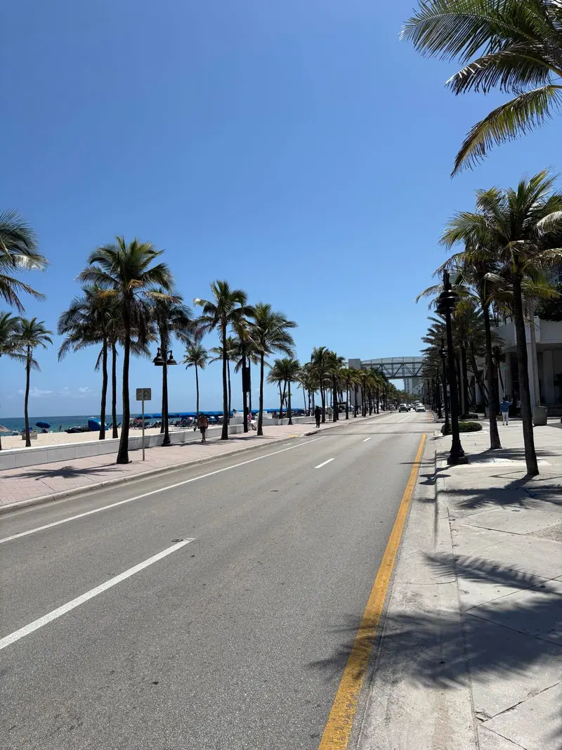 Palm-lined beach road on the Florida coast